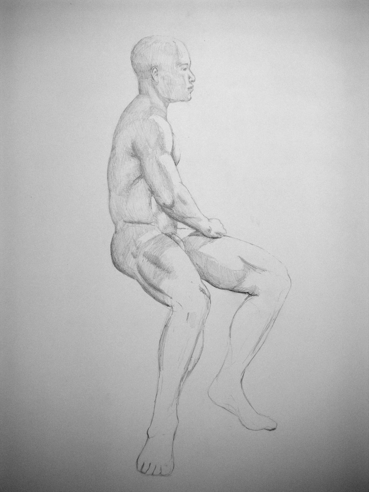 Anatomy Study 1