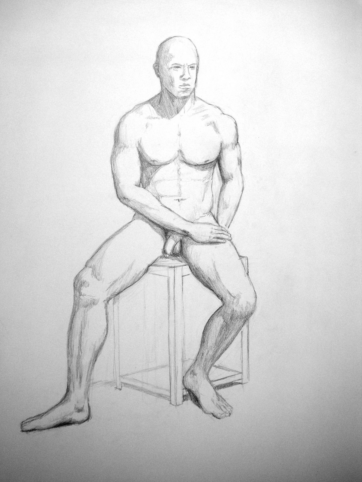 Anatomy Study 2